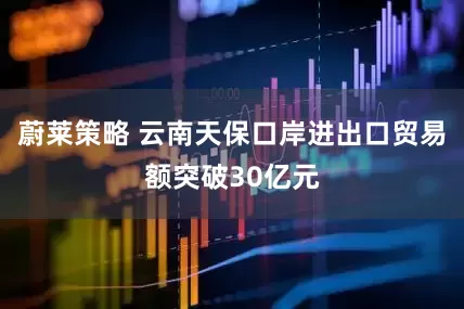 蔚莱策略 云南天保口岸进出口贸易额突破30亿元