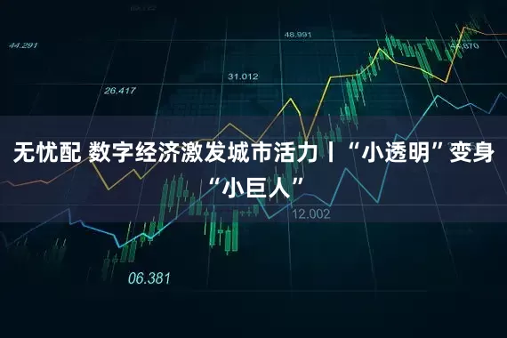 无忧配 数字经济激发城市活力丨“小透明”变身“小巨人”