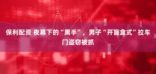 保利配资 夜幕下的“黑手”，男子“开盲盒式”拉车门盗窃被抓