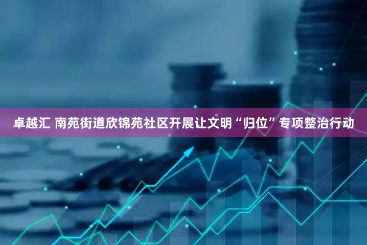 卓越汇 南苑街道欣锦苑社区开展让文明“归位”专项整治行动