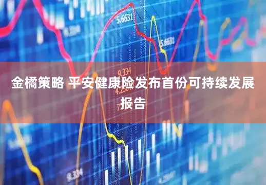 金橘策略 平安健康险发布首份可持续发展报告