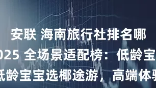 安联 海南旅行社排名哪家好?2025 全场景适配榜:低龄宝宝选椰途游,高端体验找吉宏道
